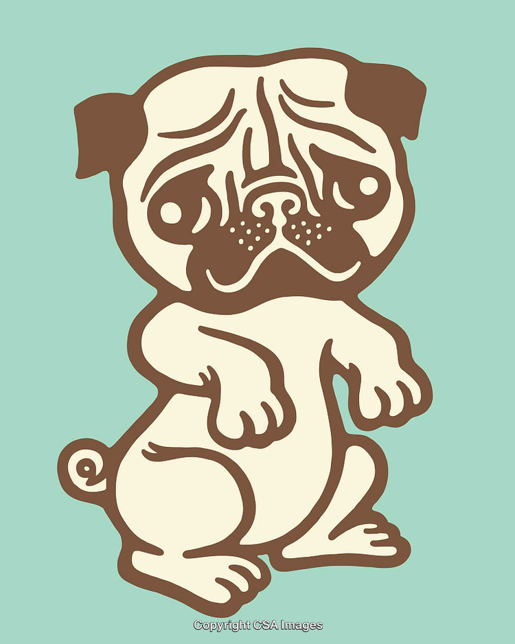 Illustration of a Cute and Sad Cartoon Pug on a Green Background
