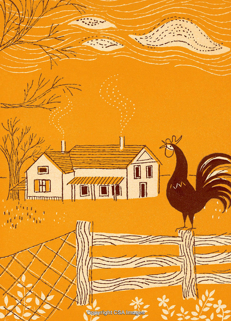 Rustic Farm Illustration with Rooster on Fence and Country Cottage