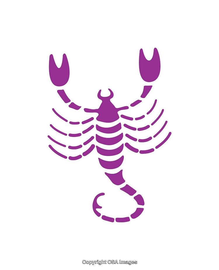 Purple Scorpion Icon Isolated on a White Background