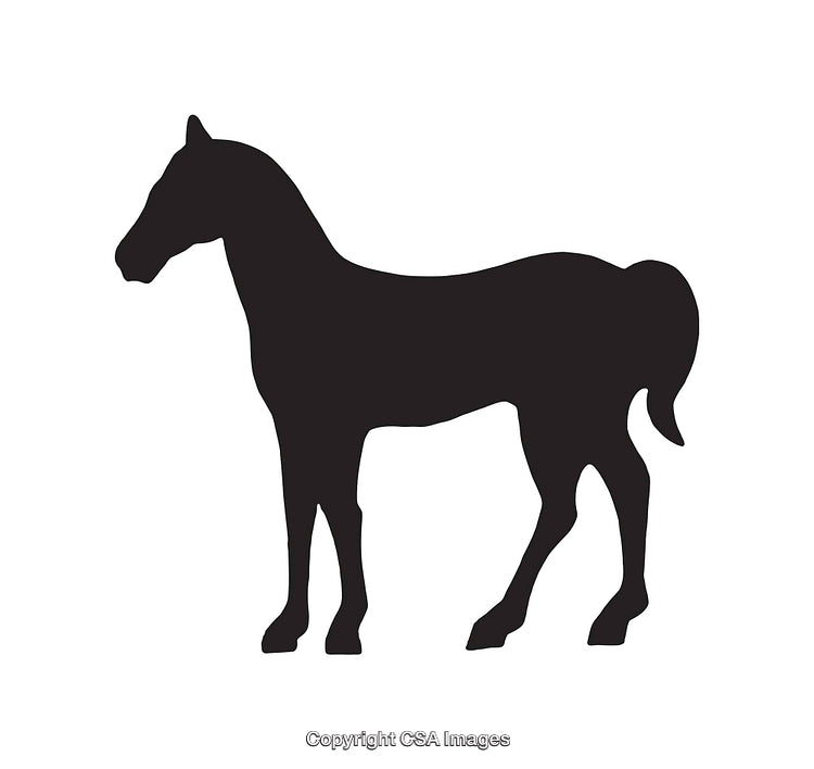 Black Silhouette of Standing Horse on Plain White Background