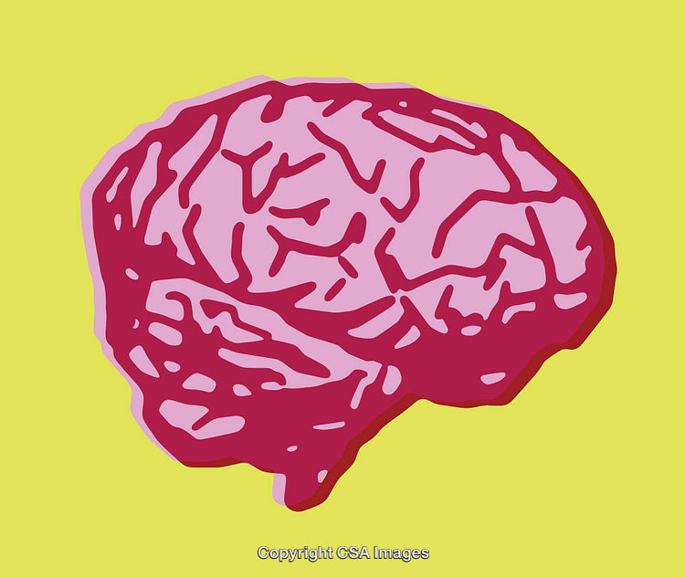 Colorful Illustration of a Brain on a Contrasting Background