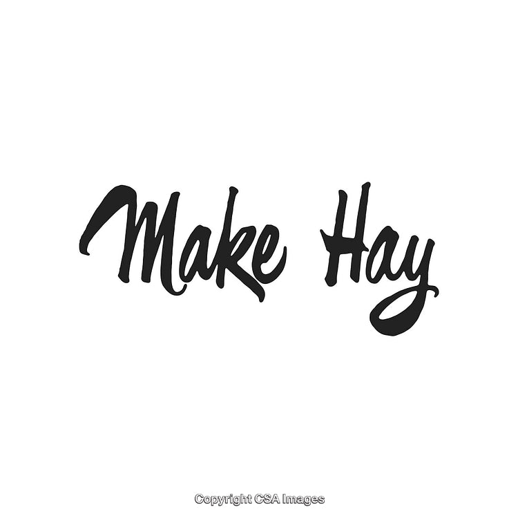 Inspirational Handwritten 'Make Hay' Text on a Minimalist White Background