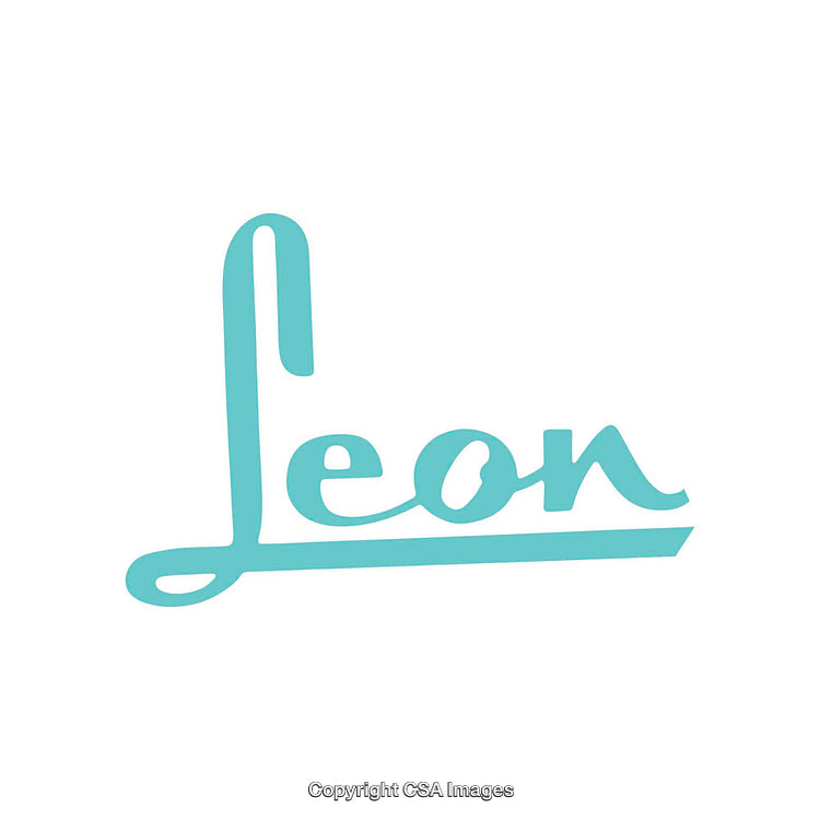 Stylized Illustration Featuring the Word "Leon" in Elegant Typography Design