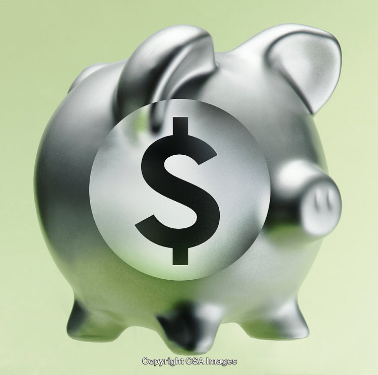 Silver Piggy Bank with Dollar Sign on Green Background