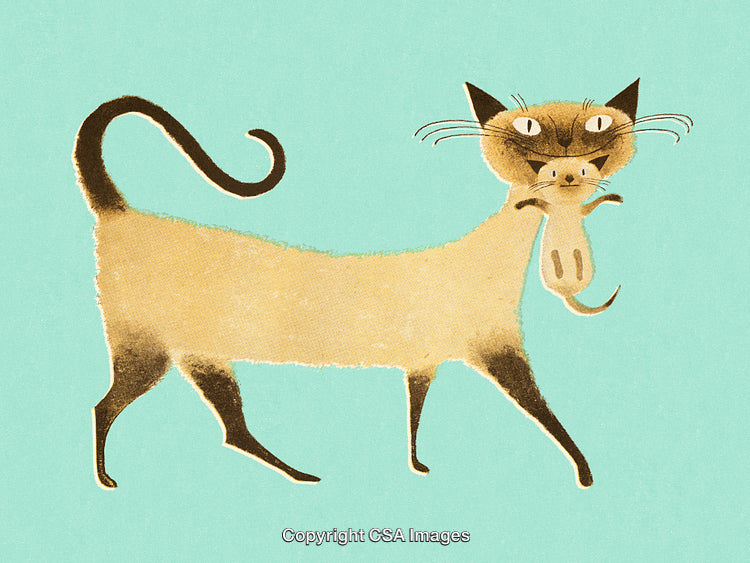 Stylized Illustration of Cat Carrying Mouse on Turquoise Background