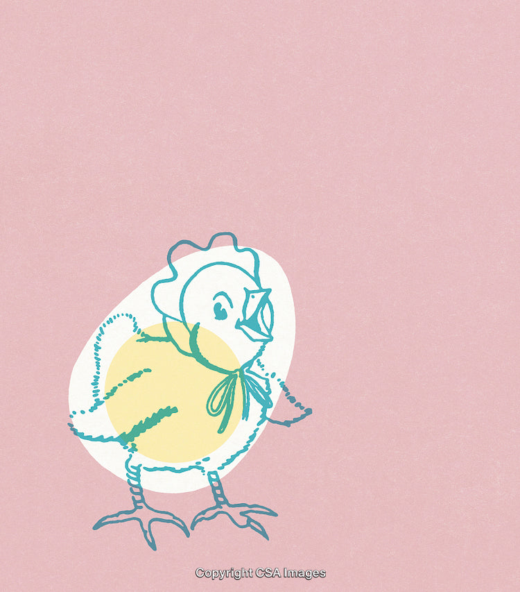 Colorful Illustration of a Chick on a Soft Pink Background