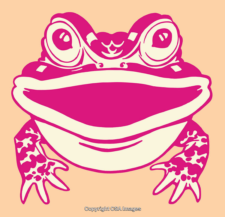 Vibrant Pop Art Frog Illustration in Pink and Beige Tones