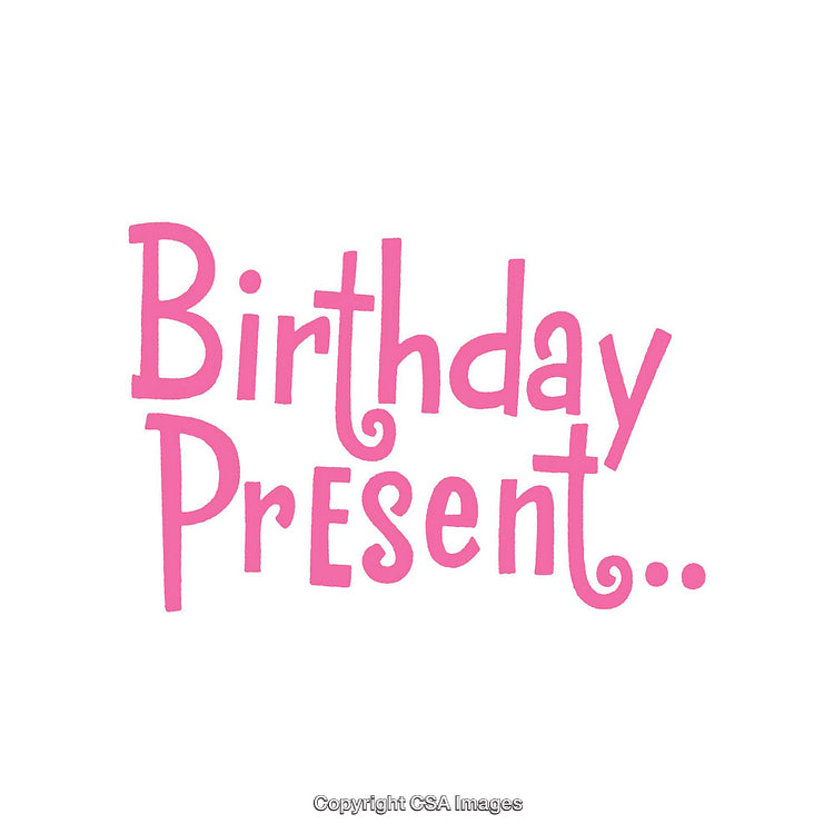 Pink Text Reading Birthday Present Isolated on White Background