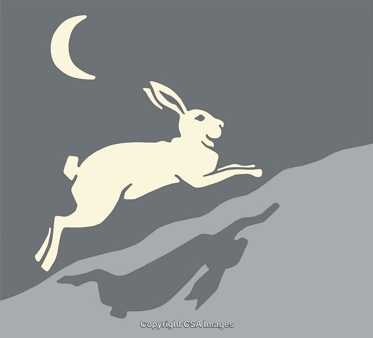 Minimalist Illustration of a Hare Leaping Under the Moonlit Sky