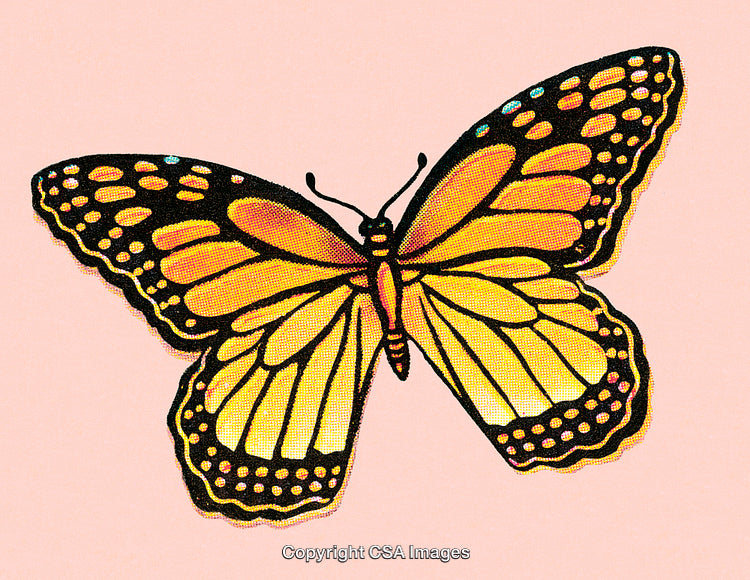 Vivid Monarch Butterfly Illustration on Soft Pink Background in Artistic Style