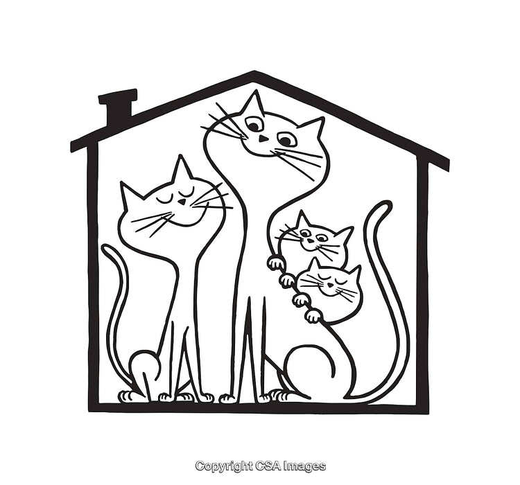 Line Art of Cats Inside Their Cozy House with Expressive Faces