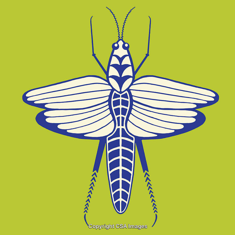 Illustrated Insect Line Art with Blue and Green Vibrant Colors