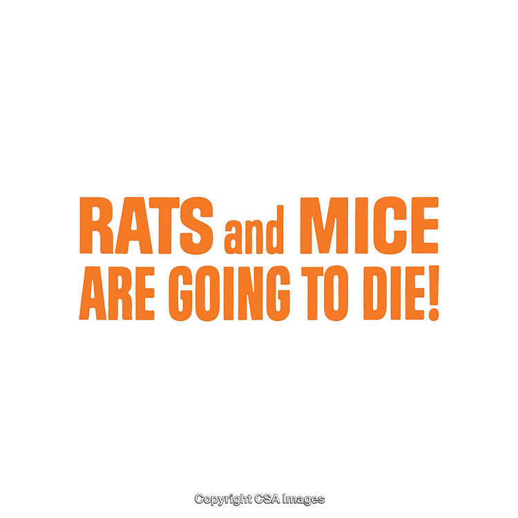 Bold Text Declaration Against Rodent Presence with Vibrant Orange Font