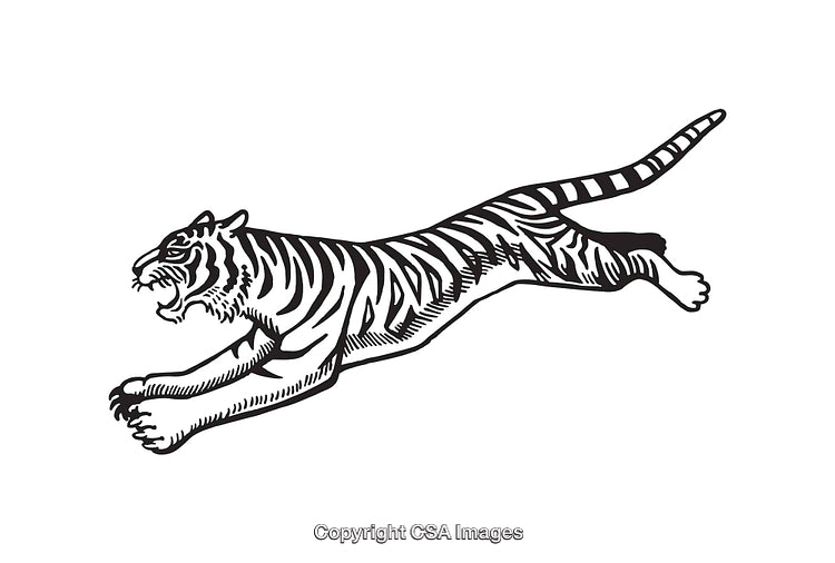 Detailed Black and White Illustration of a Jumping Tiger