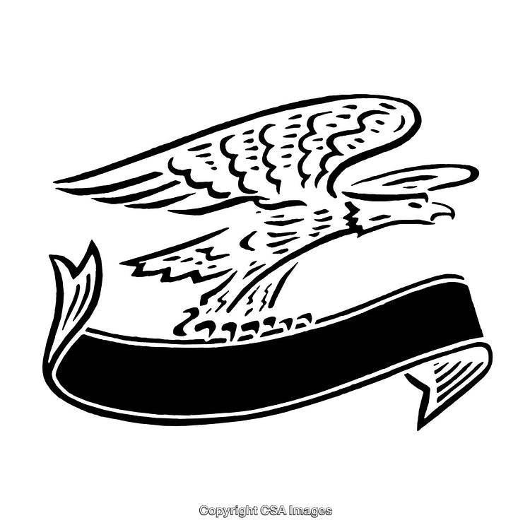 Stylized Black and White Eagle with Blank Banner Illustration