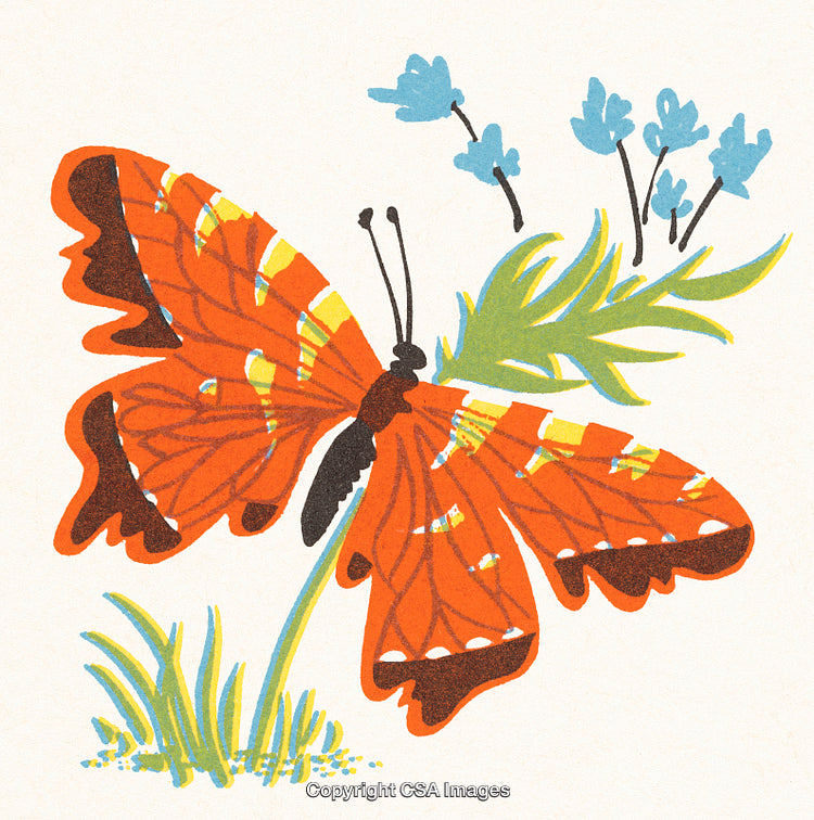 Vintage Illustration of an Orange Butterfly and Blue Flowers in Nature