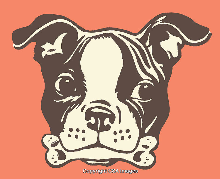 Illustrated Dog Head with Bone and Bold Color Background