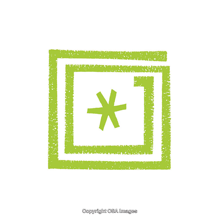 Green Asterisk Symbol Inside Overlapping Square Shapes on White Background