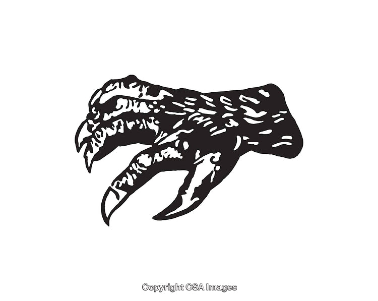 Detailed Black and White Illustration of a Bird Claw in Artistic Style