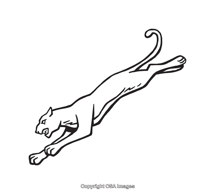 Stylized Black and White Illustration of a Jumping Panther