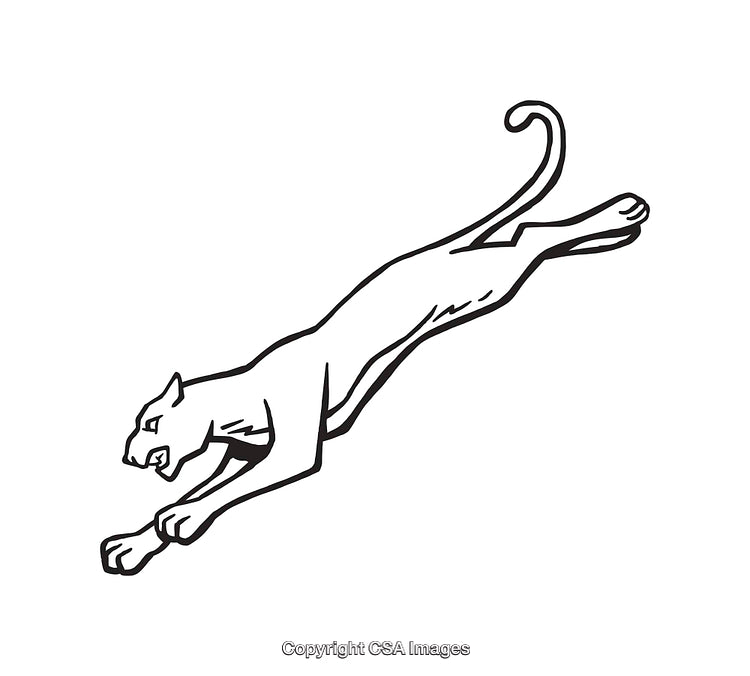 Stylized Black and White Illustration of a Jumping Panther