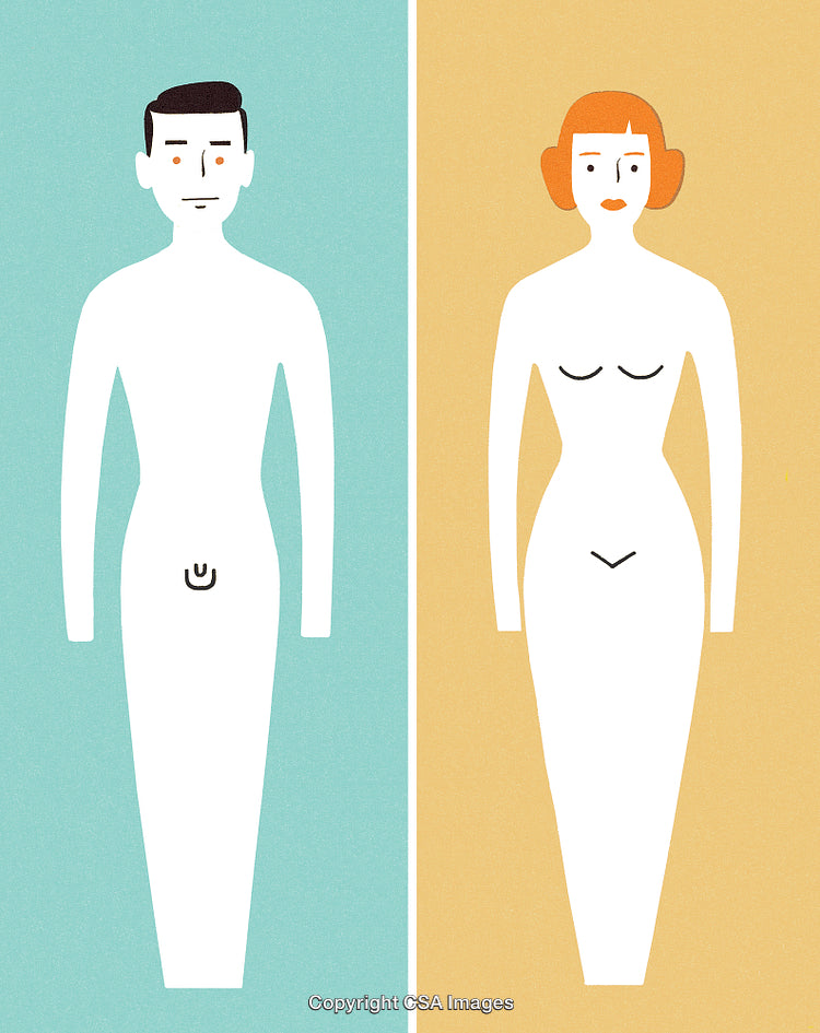 Minimalistic Illustration Highlighting Male and Female Anatomy Signifiers