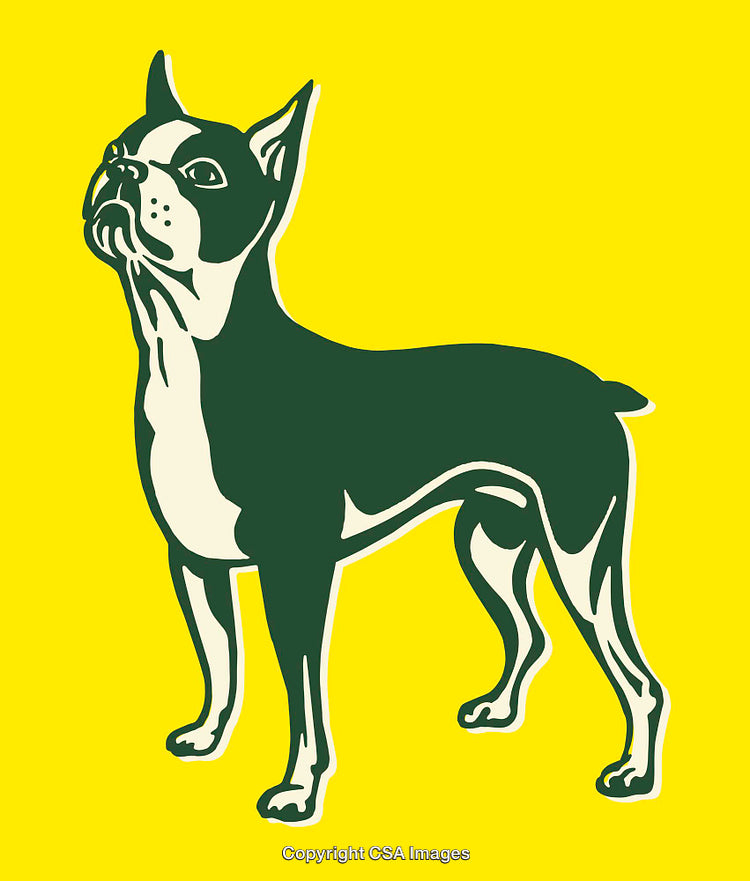 Colorful Line Art Illustration of a Dog on Yellow Background