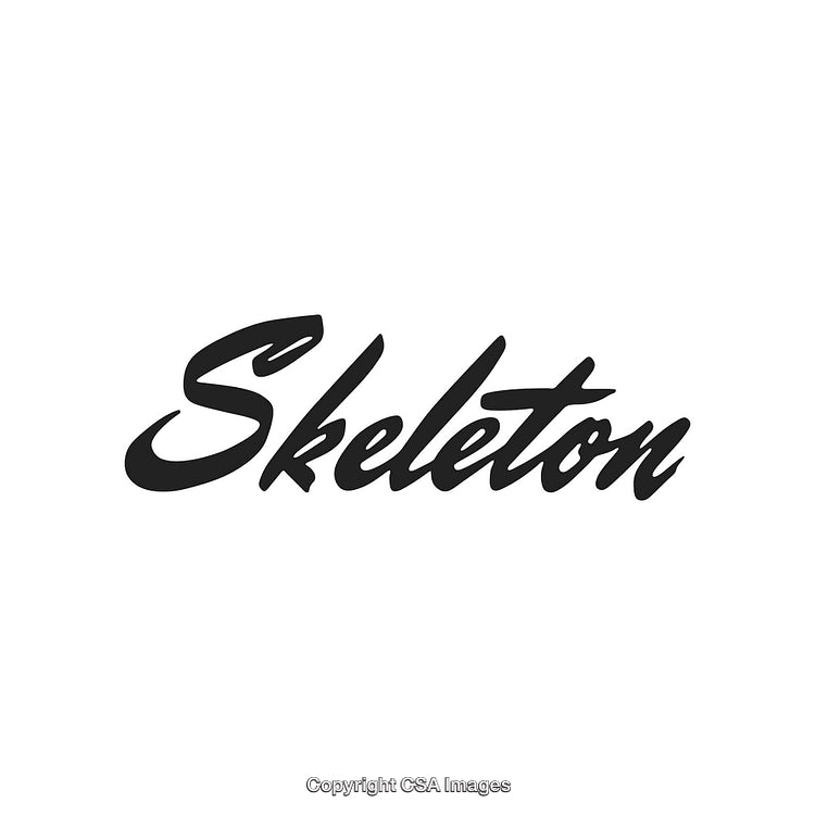 Stylish Black Script Font Showing the Word Skeleton on a White Background