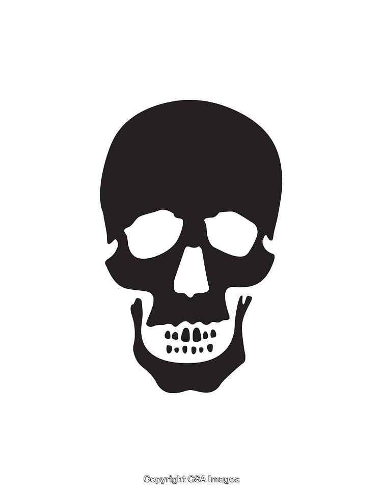 Black and White Skull Icon Isolated on a Simple White Background