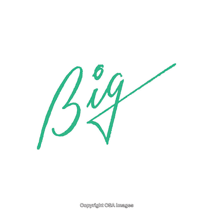 Minimalistic Green Word Design Featuring the Word Big on White Background