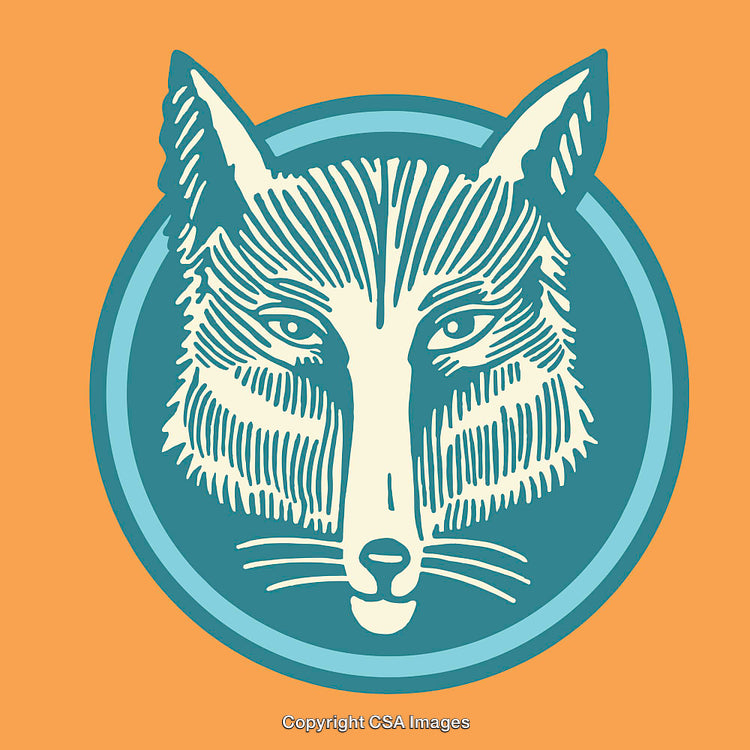 Stylized Illustration of Fox Head in Vibrant Circular Design