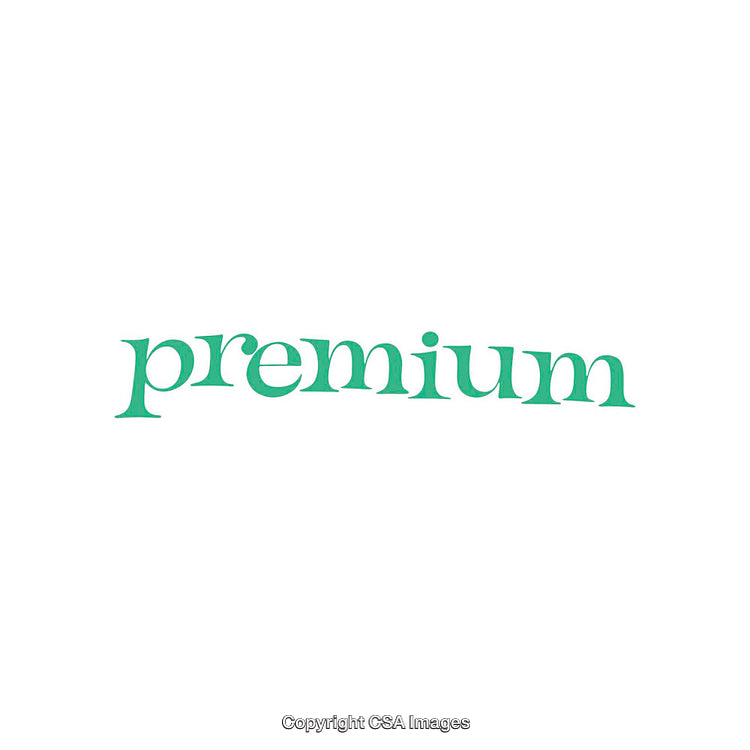 Stylized Text 'Premium' in Green on a White Background