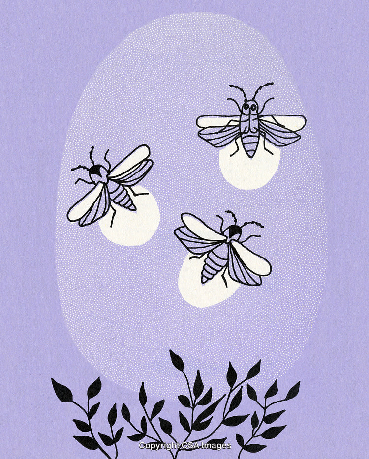 Illustration of Fireflies Glowing at Night with Botanicals on Lilac Background
