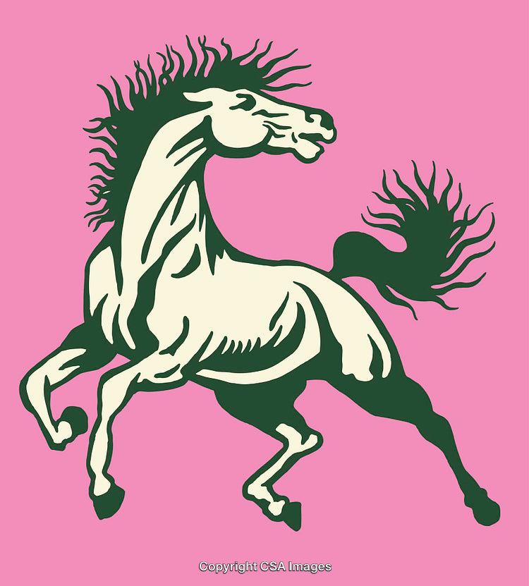 Colorful Illustration of a Galloping Horse on a Pink Background
