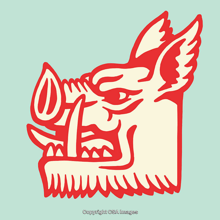 Colorful Illustration of a Stylized Boar in a Bold Graphic Style
