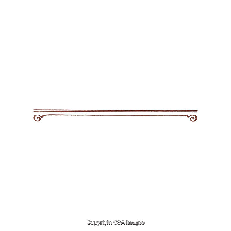 Elegant Brown Ornamental Divider with Swirls on a White Background