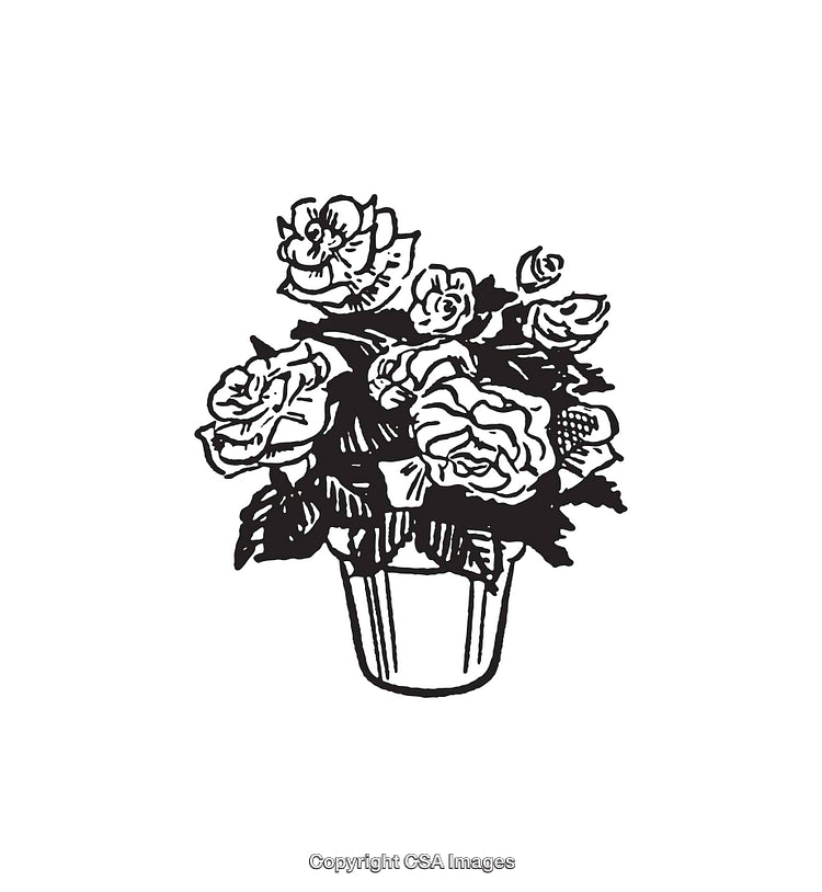 Black and White Floral Line Art of Potted Roses