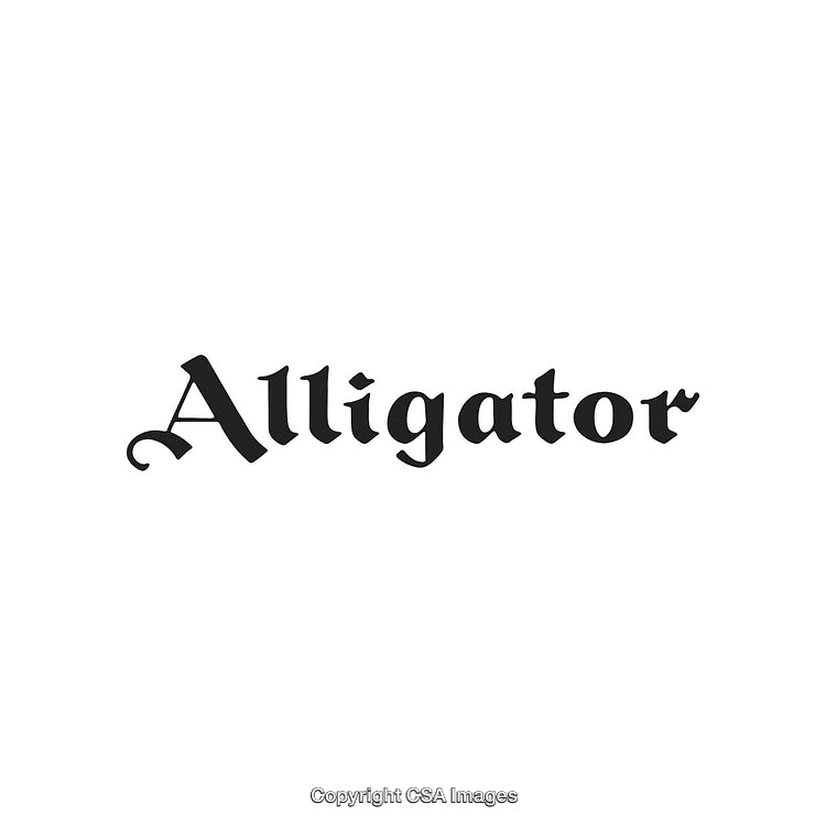 Elegant Black Typeface Spelling Alligator on a White Background