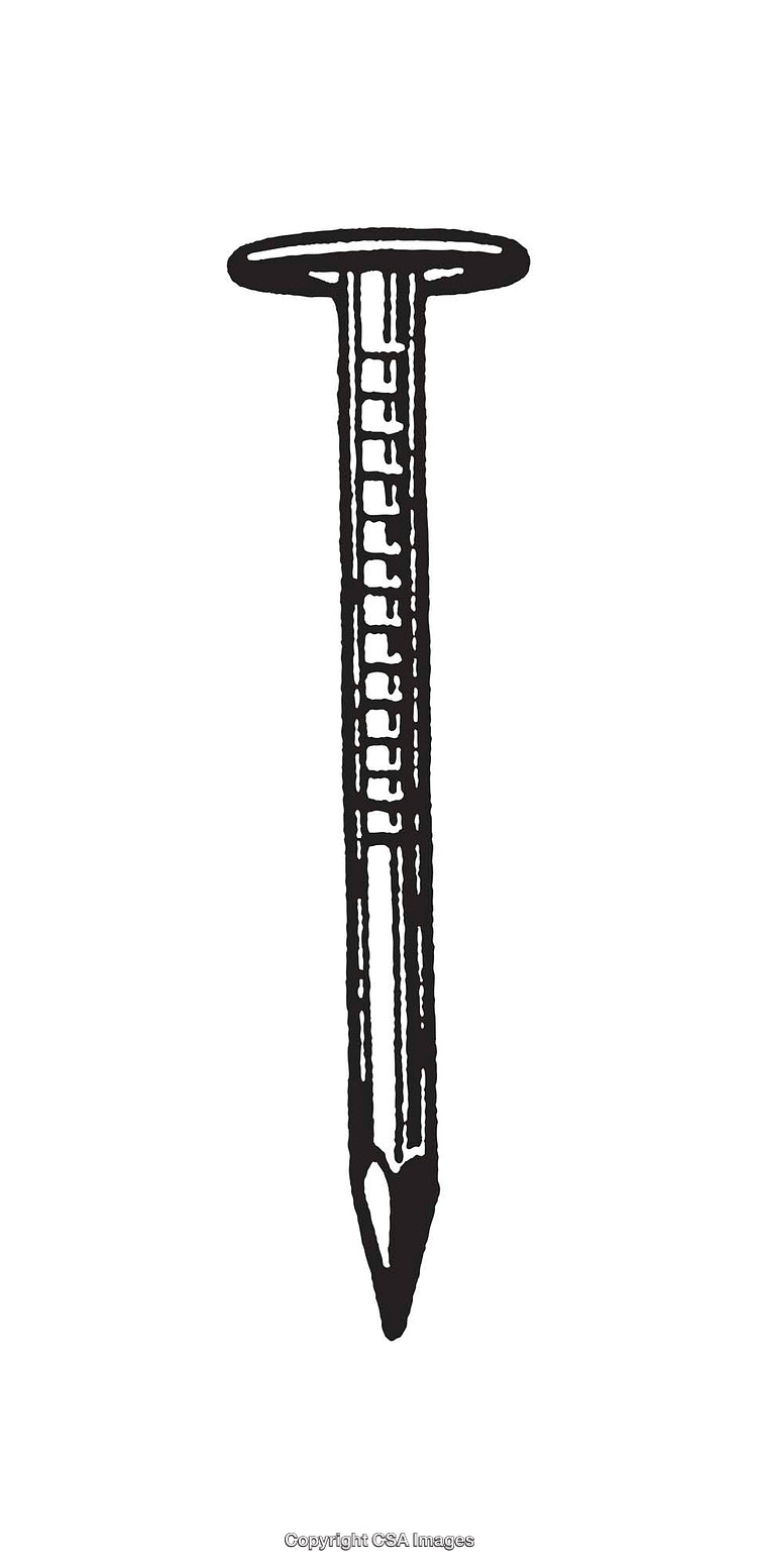 Black and White Line Art of a Single Nail Illustration