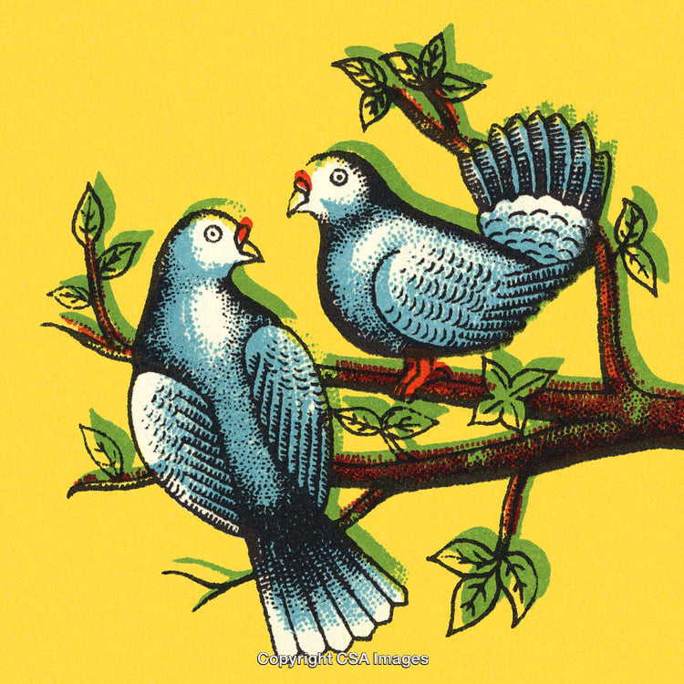 Two Blue Birds Perched on a Branch Against a Vibrant Yellow Background