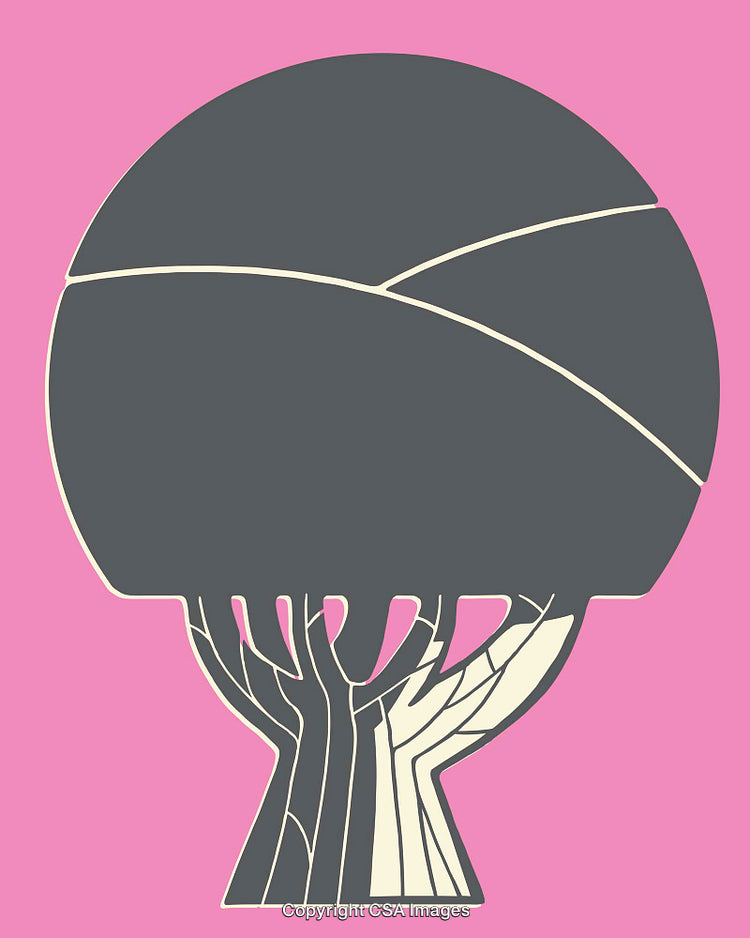 Minimalistic Tree Illustration with Geometric Lines on Pink Background