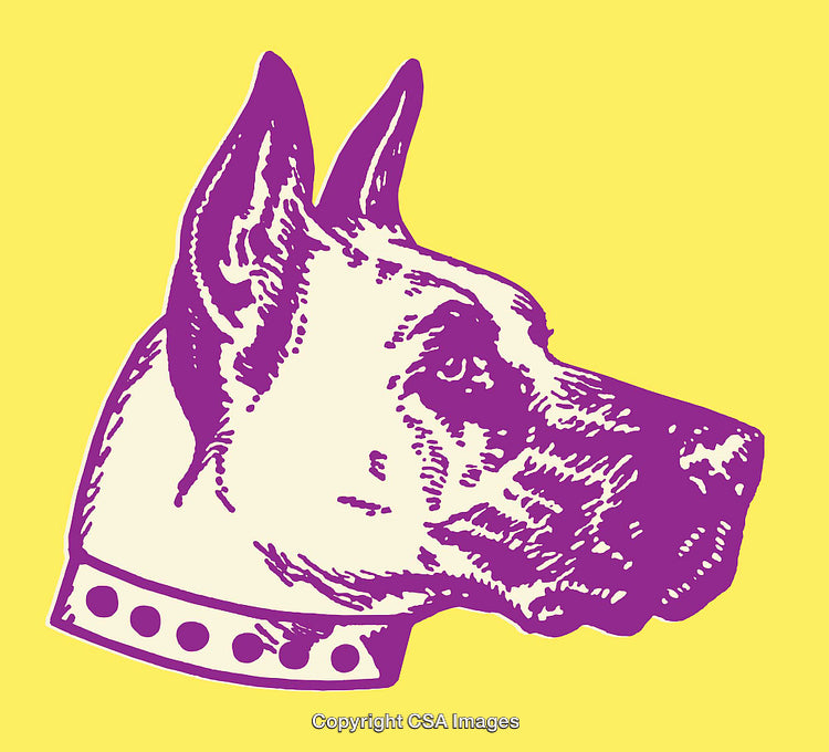Colorful Line Art Illustration of a Dog's Profile on Yellow Background