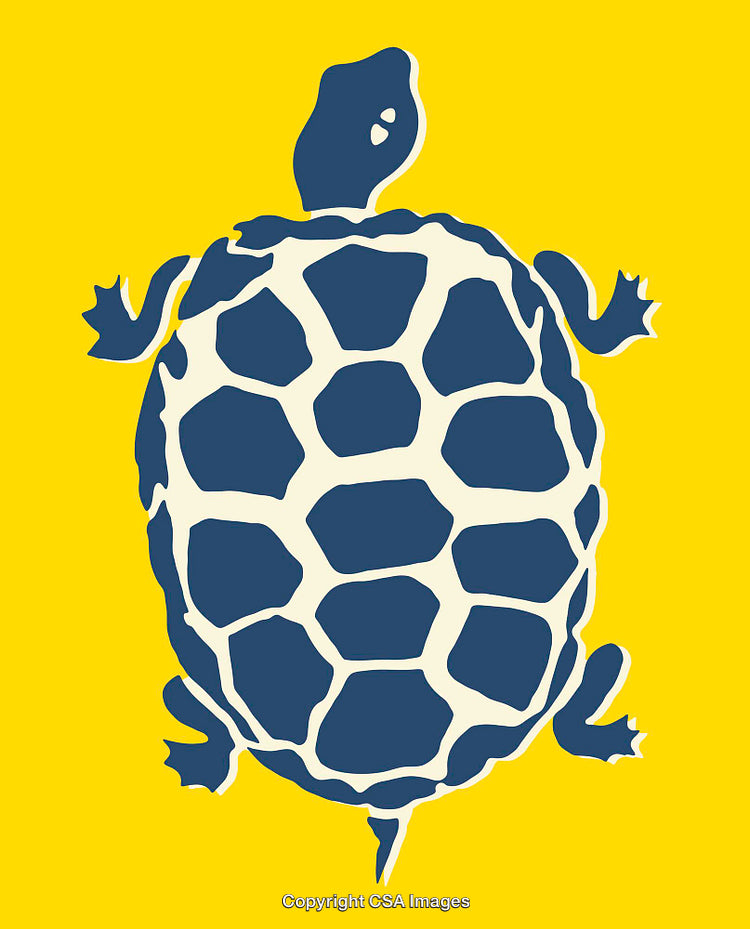 Colorful Illustration of a Turtle on a Vibrant Yellow Background