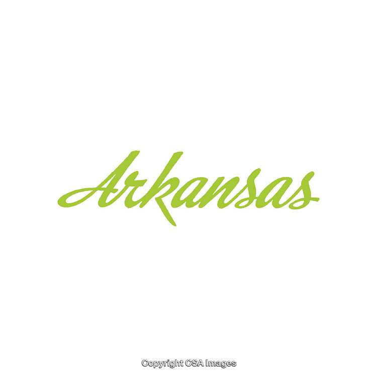 Green-Handwritten Word Arkansas on a White Background Symbolizing Simplicity and Clarity