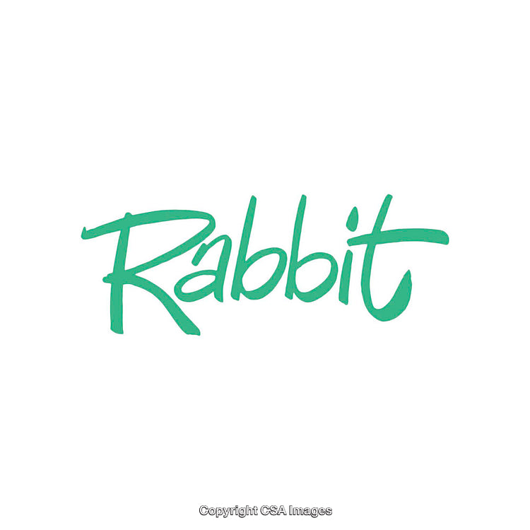 Stylish Green Handwritten Script Spelling the Word Rabbit on a White Background