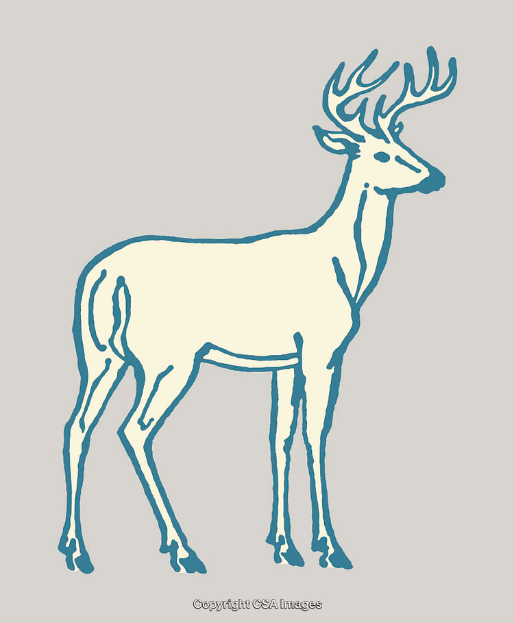 Elegant Line Art Illustration of a Standing Deer with Antlers