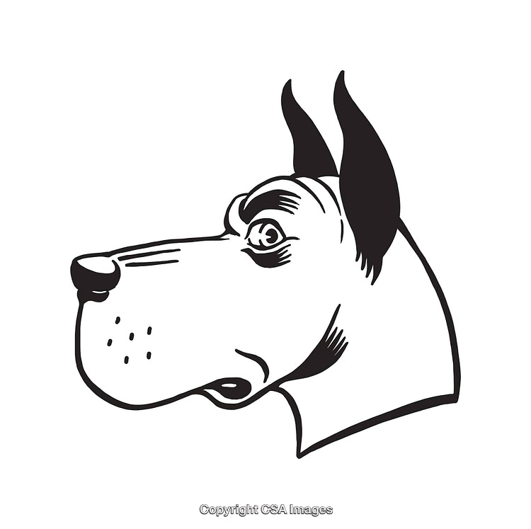 Black and White Line Drawing of a Dog’s Head in Profile View