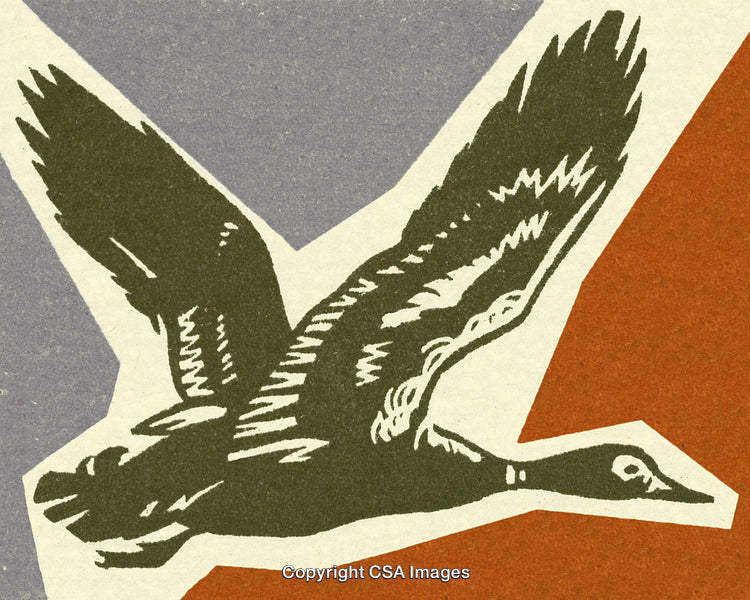 Stylized Artistic Illustration of a Goose in Flight Over Colored Background