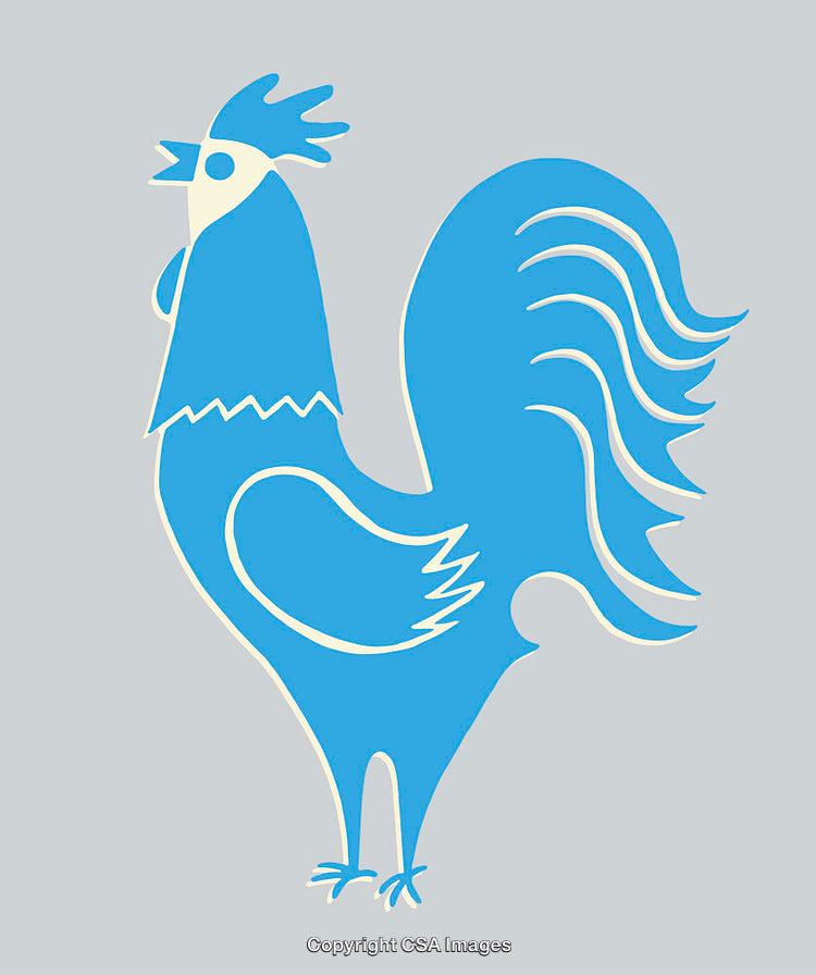 Blue Minimalist Rooster Illustration on a Light Gray Background