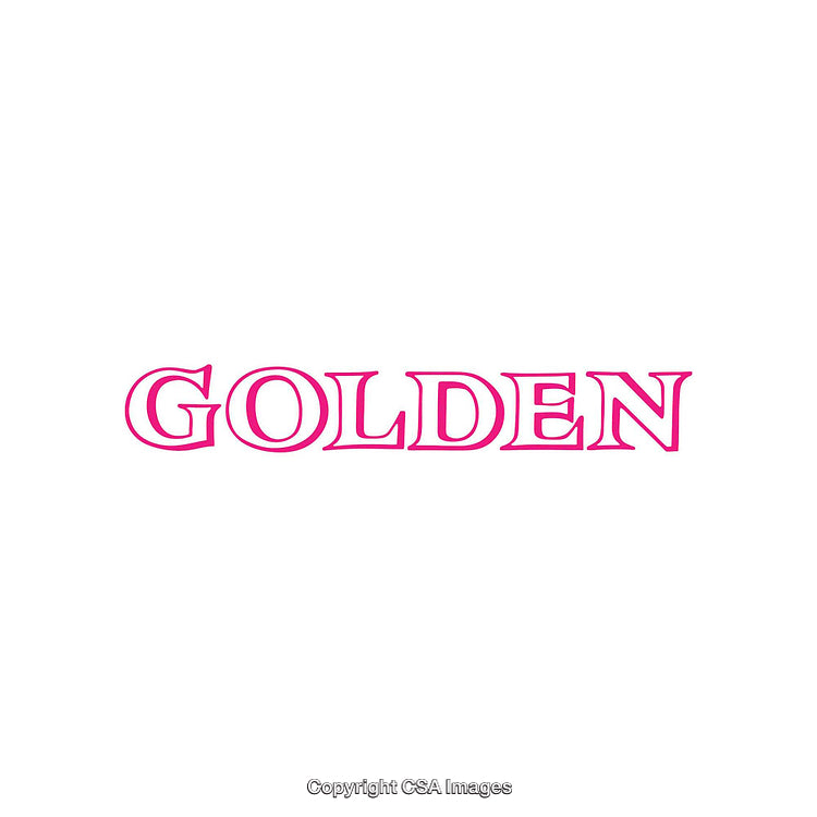 Bold Typography Design Featuring the Word 'Golden' in Vibrant Colors
